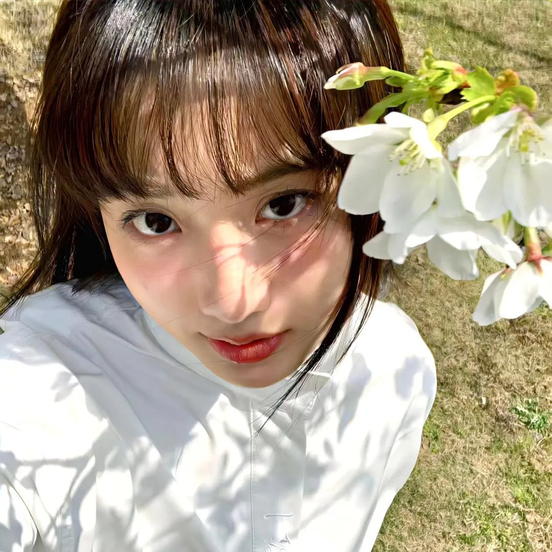 七鹰大厦宝藏