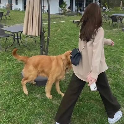 非常规引渡